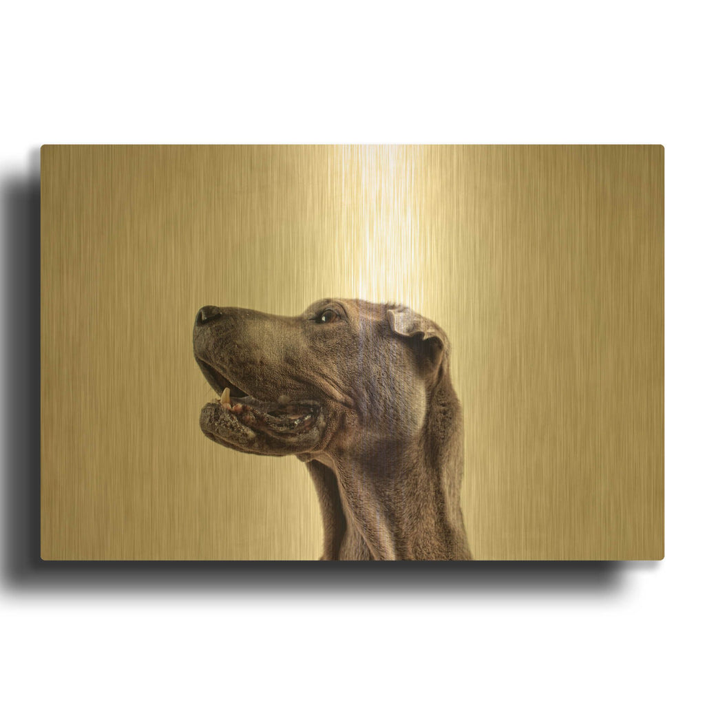 'Pelei in Profile' By Susan Sabo Gold Metal Wall Art