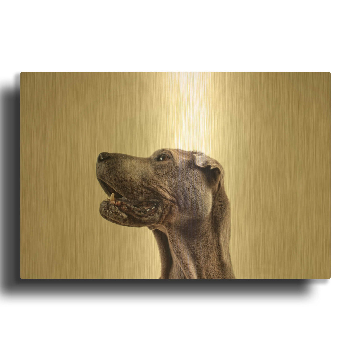 'Pelei in Profile' By Susan Sabo Gold Metal Wall Art