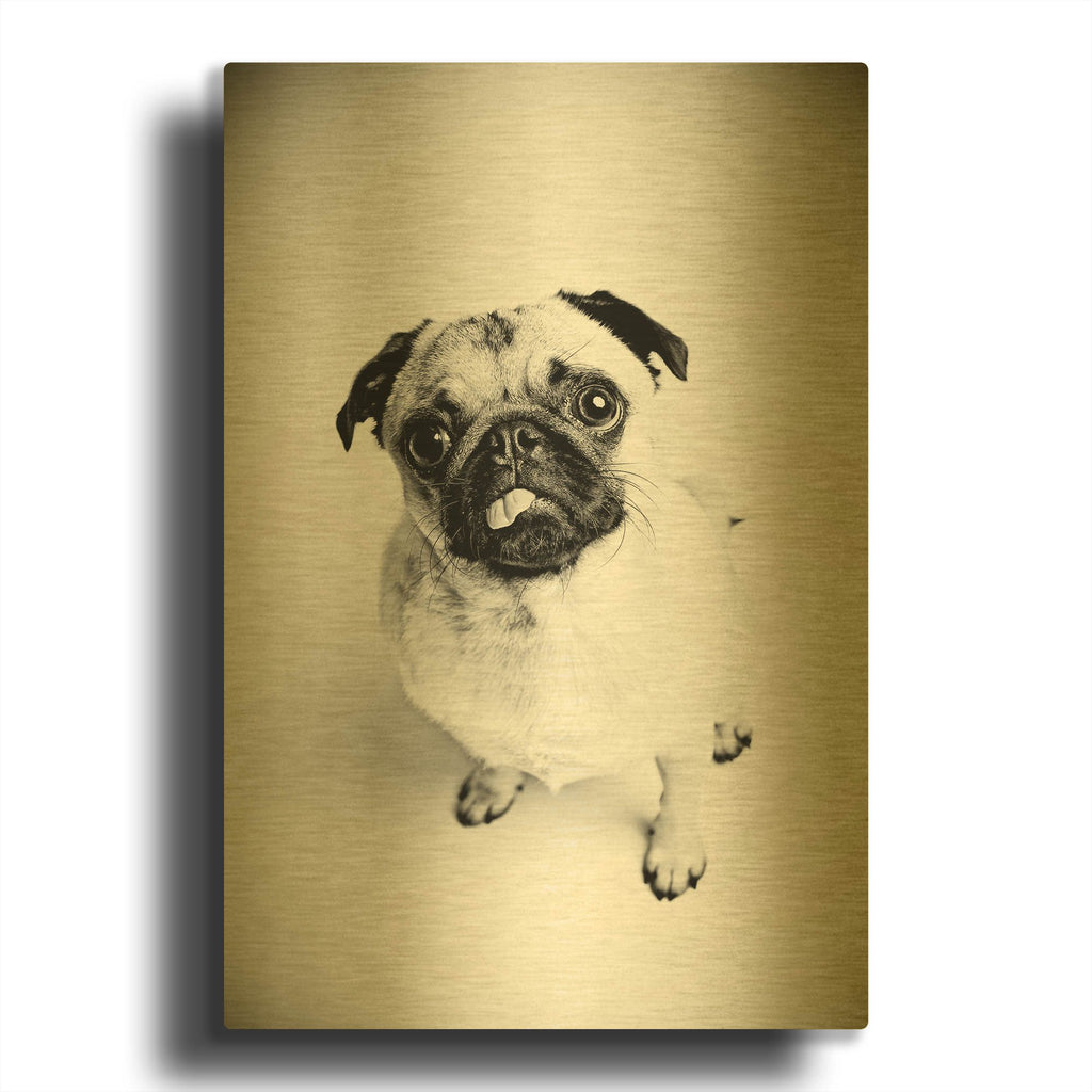 'Piggie 7' By Susan Sabo Gold Metal Wall Art