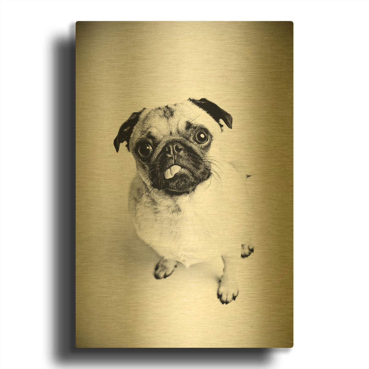 'Piggie 7' By Susan Sabo Gold Metal Wall Art
