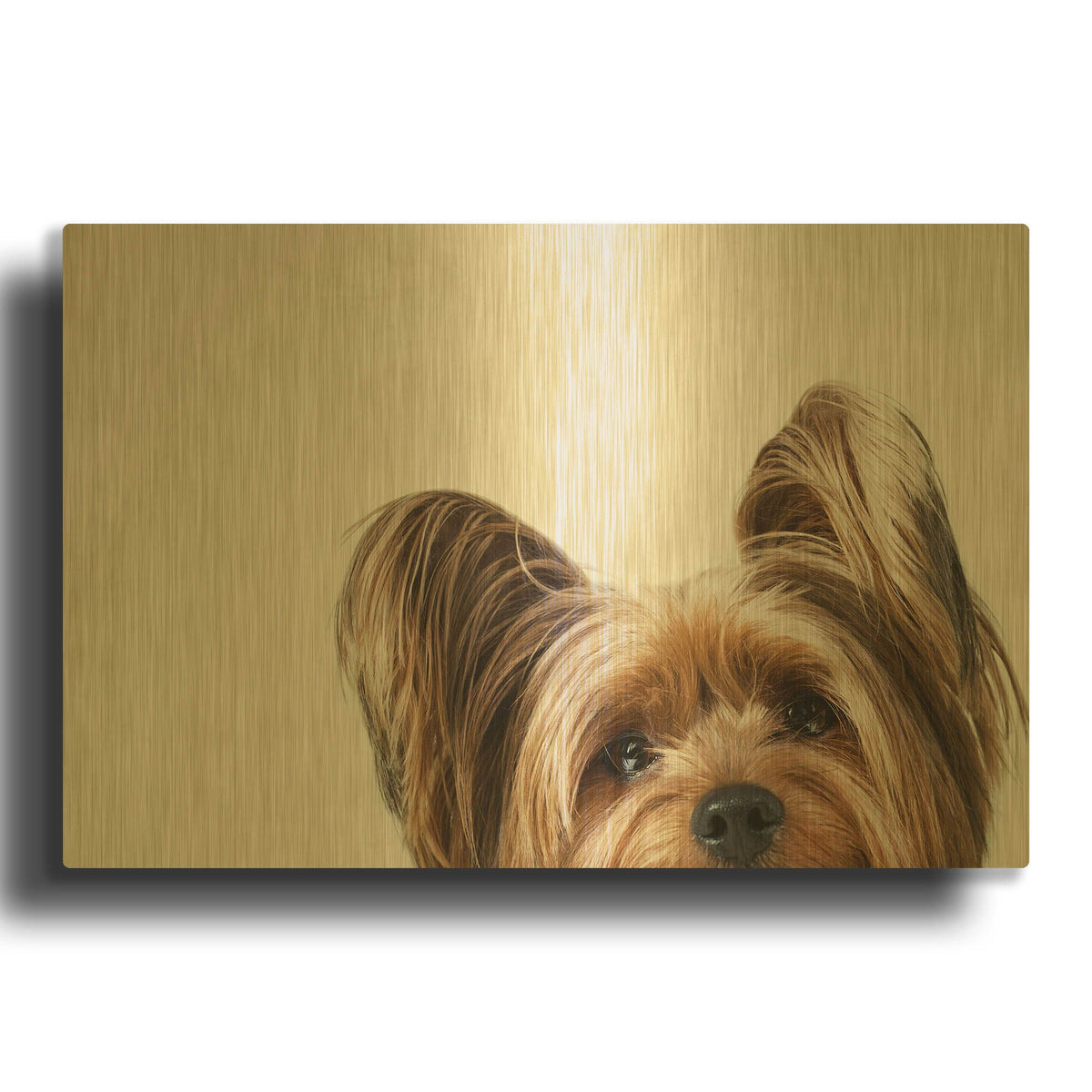 'Jeri' By Susan Sabo Gold Metal Wall Art