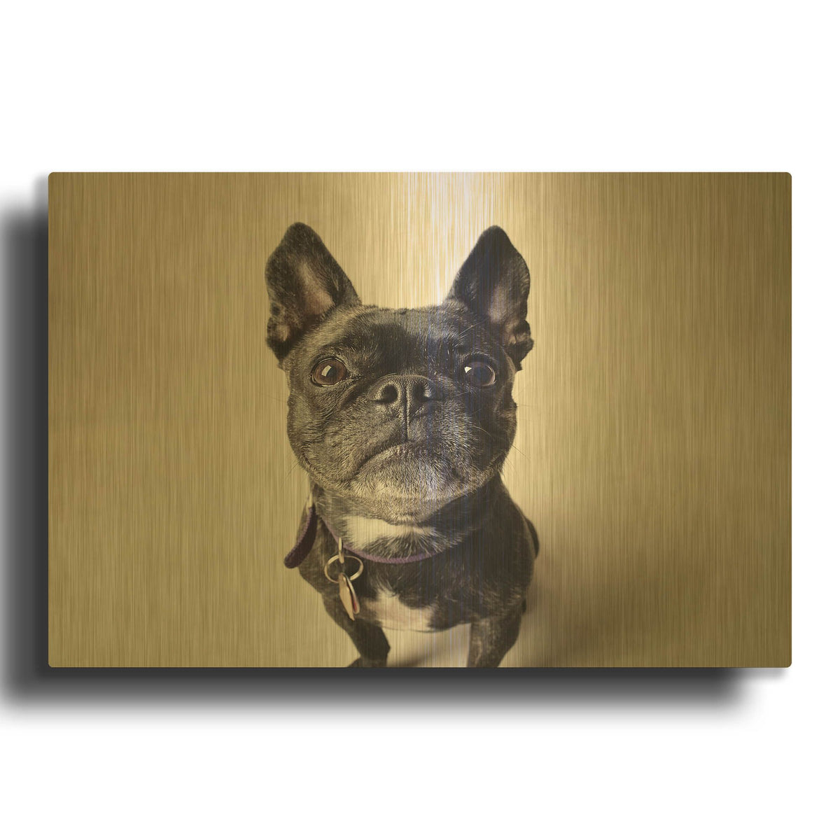 'Bailey' By Susan Sabo Gold Metal Wall Art