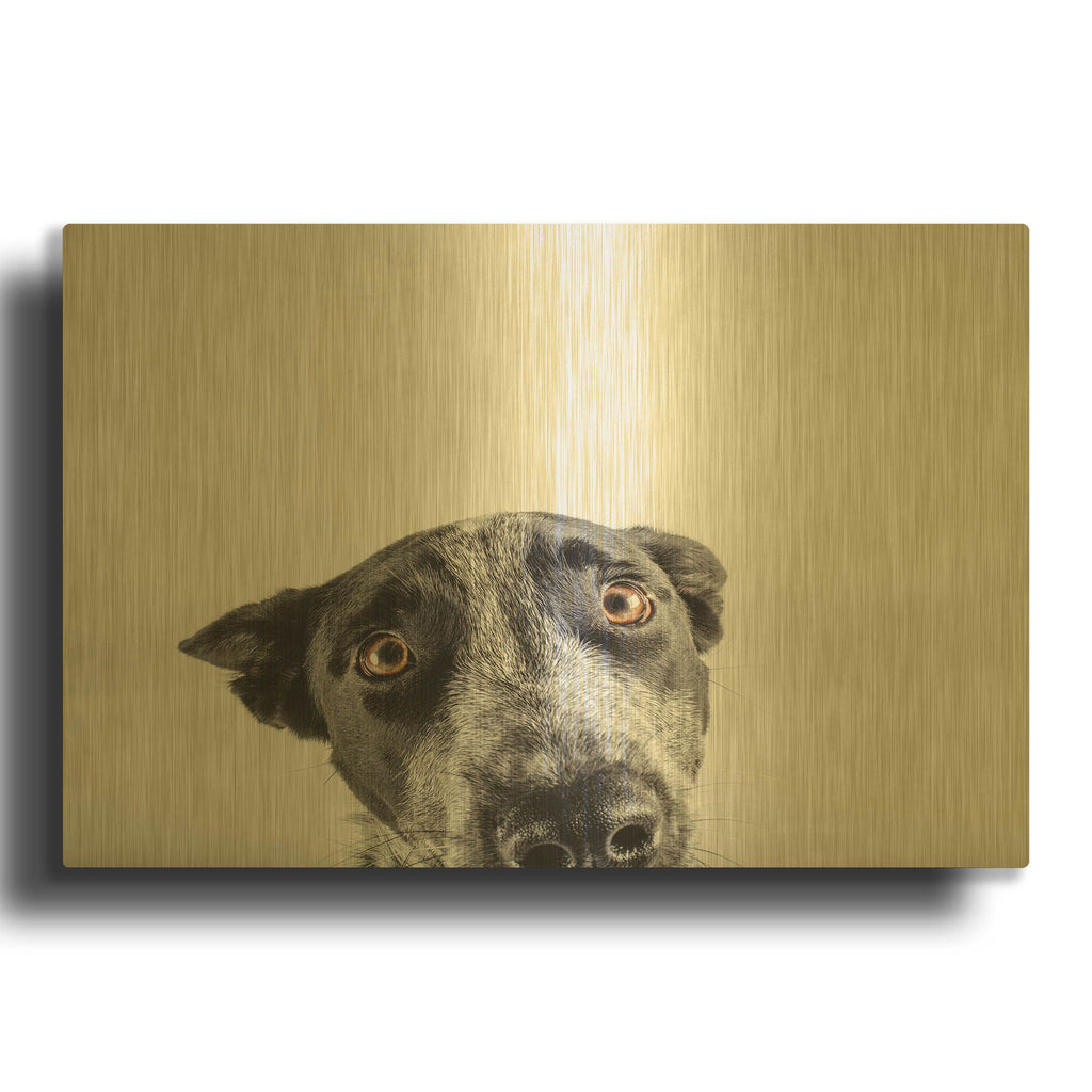 'Blue Zuck' By Susan Sabo Gold Metal Wall Art