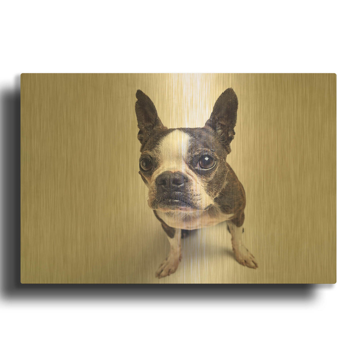 'Norton Moses' By Susan Sabo Gold Metal Wall Art