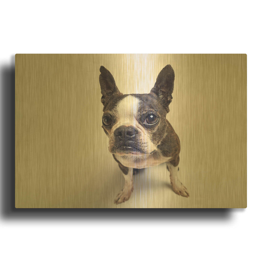 'Norton Moses' By Susan Sabo Gold Metal Wall Art