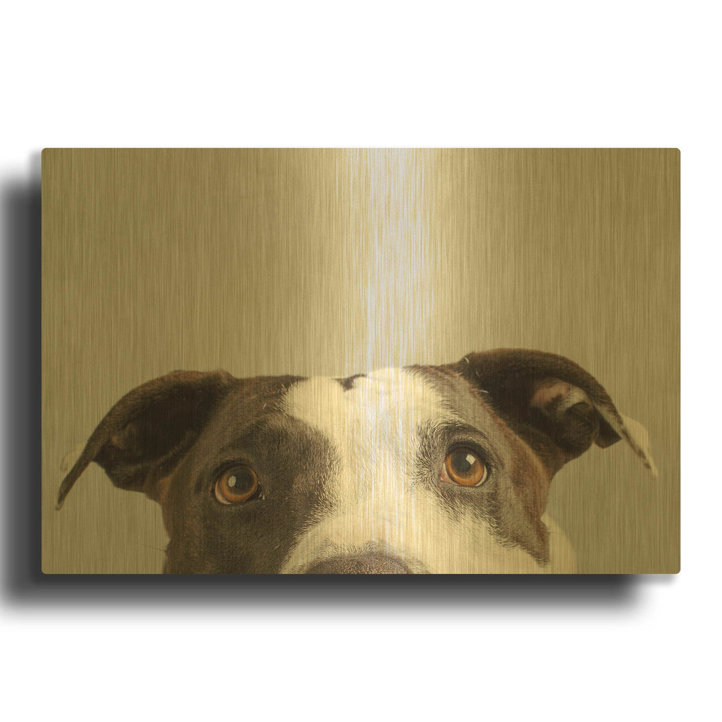 'Ruby' By Susan Sabo Gold Metal Wall Art