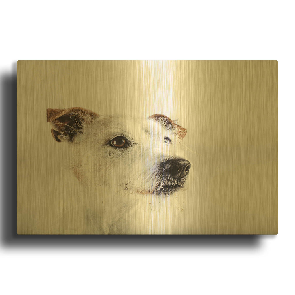 'Spike Zuck' By Susan Sabo Gold Metal Wall Art