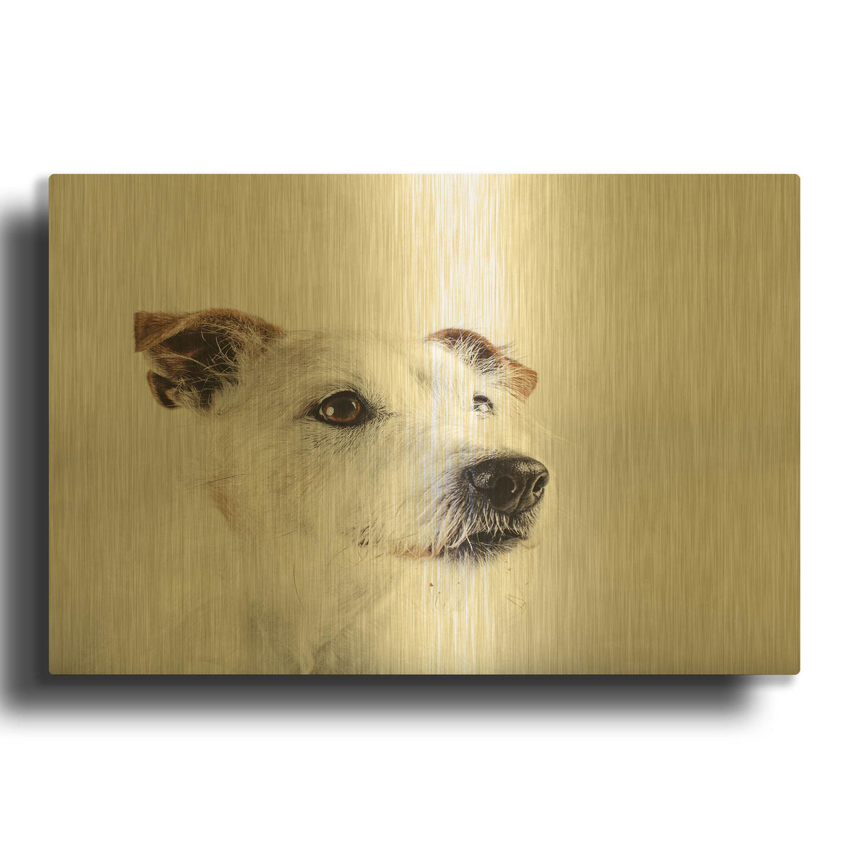 'Spike Zuck' By Susan Sabo Gold Metal Wall Art