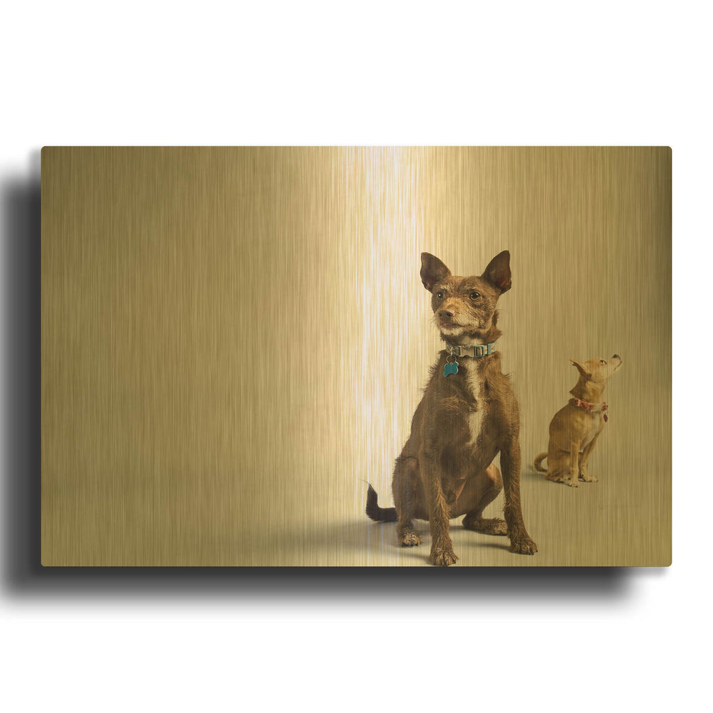 'Nope' By Susan Sabo Gold Metal Wall Art