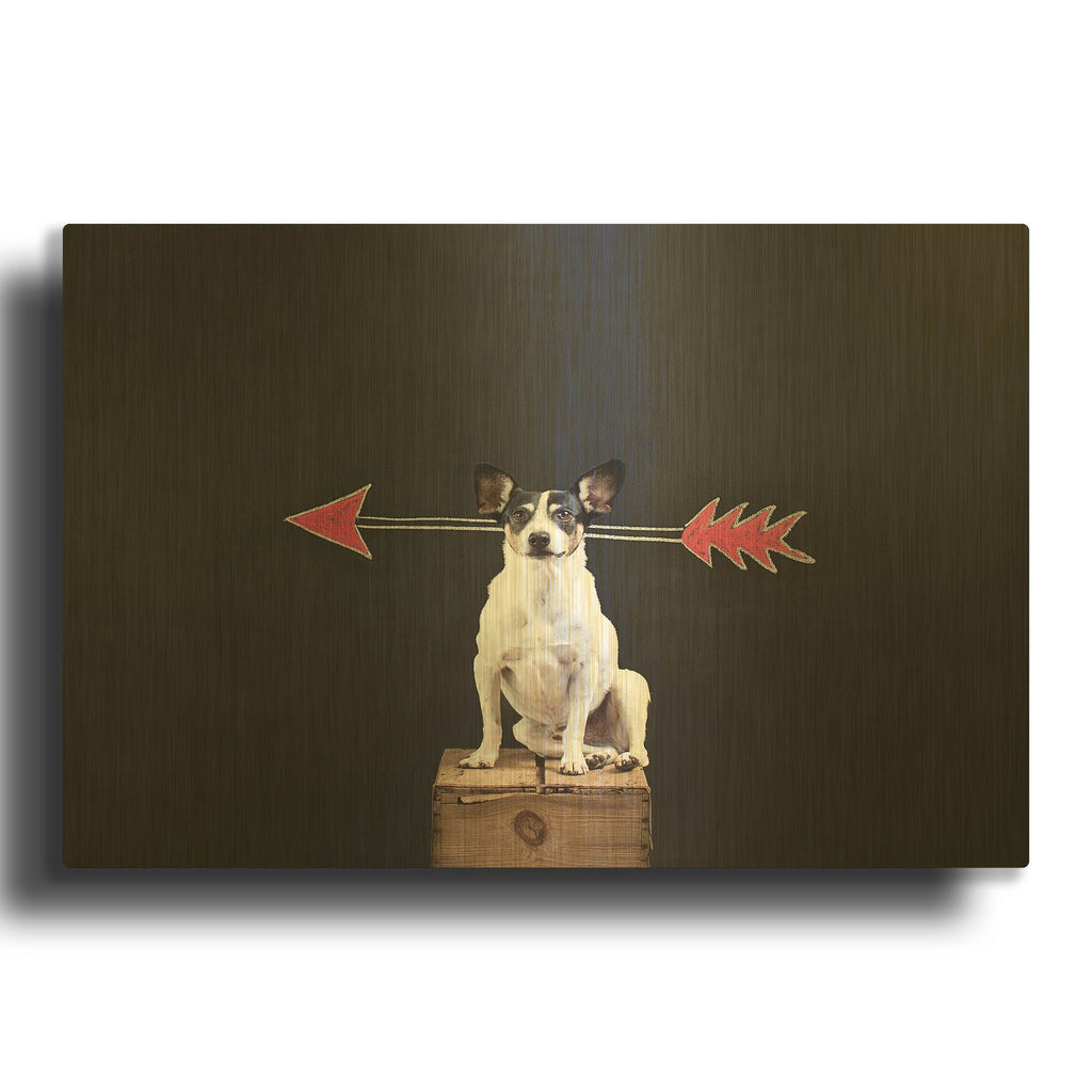 'Prankster' By Susan Sabo Gold Metal Wall Art