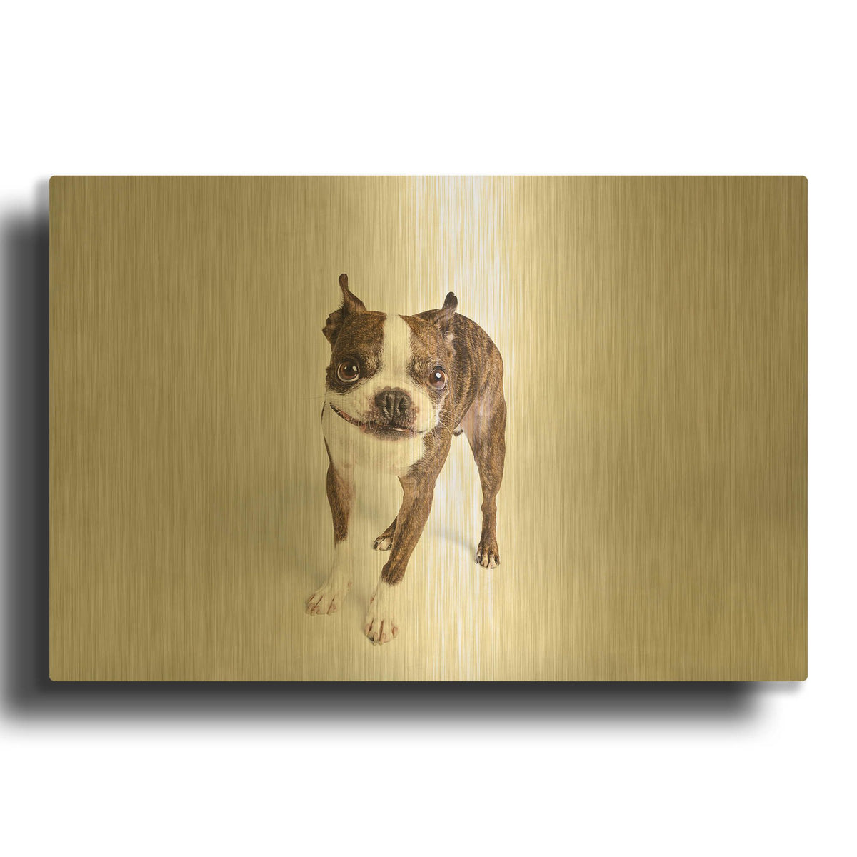'Kevin' By Susan Sabo Gold Metal Wall Art