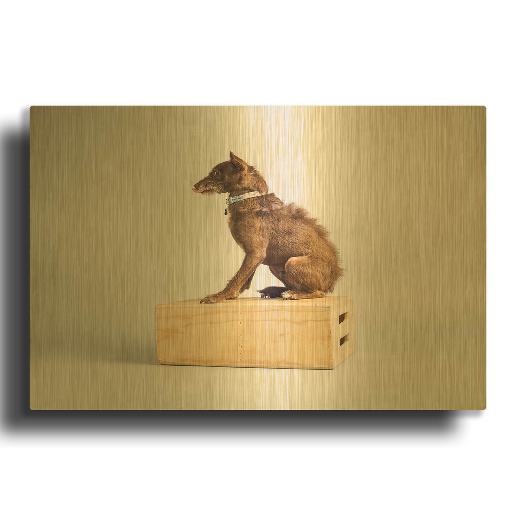 'Side Eye' By Susan Sabo Gold Metal Wall Art