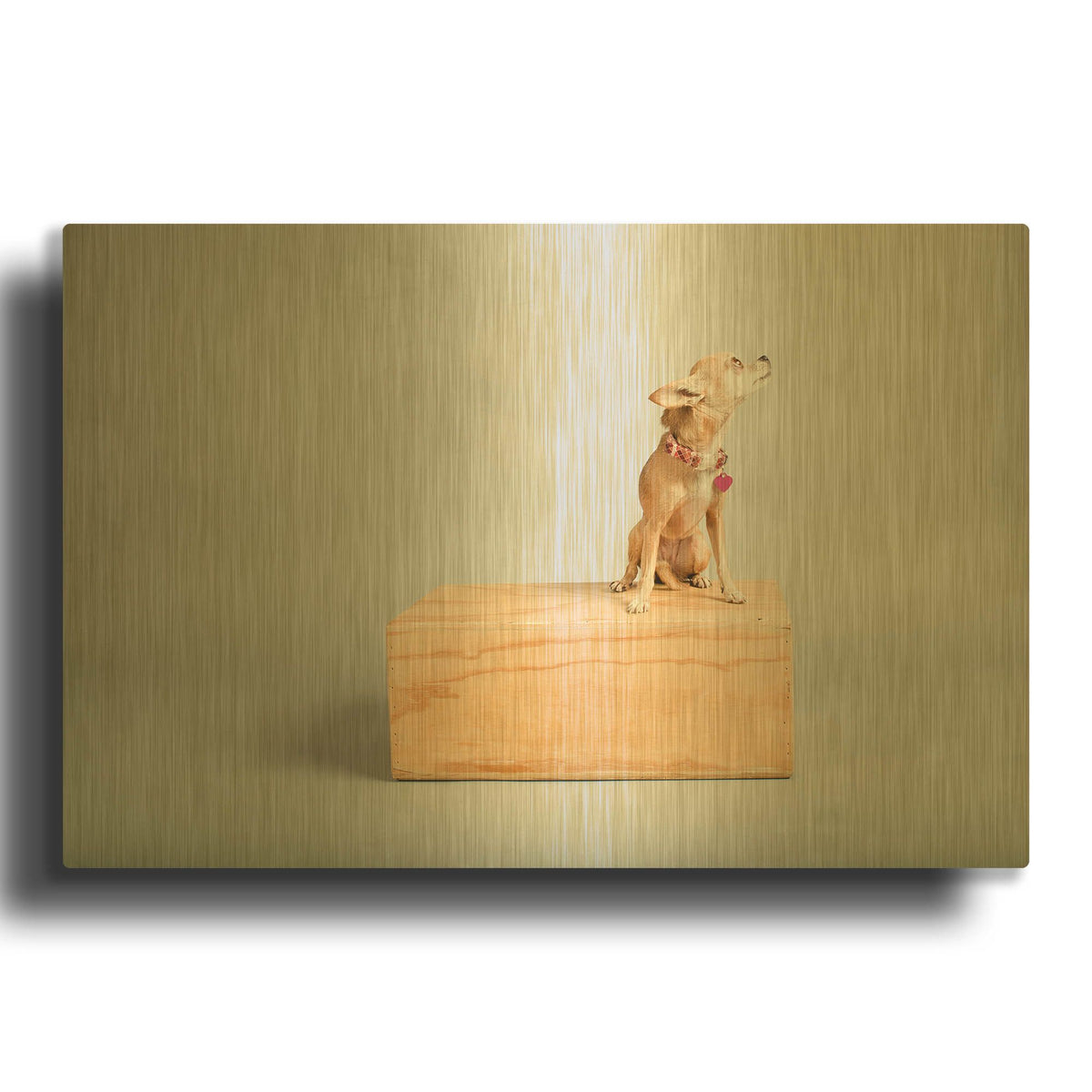 'Small Dog, Big World' By Susan Sabo Gold Metal Wall Art
