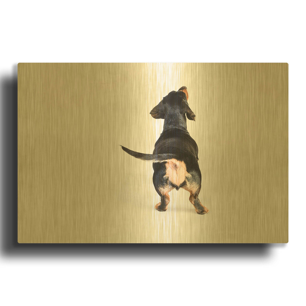 'The Butt' By Susan Sabo Gold Metal Wall Art