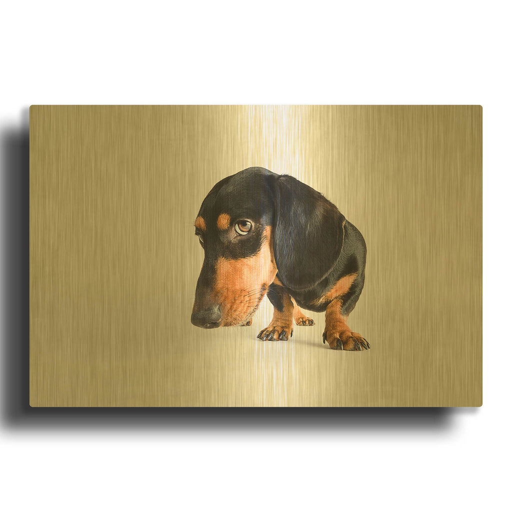 'Who Me' By Susan Sabo Gold Metal Wall Art