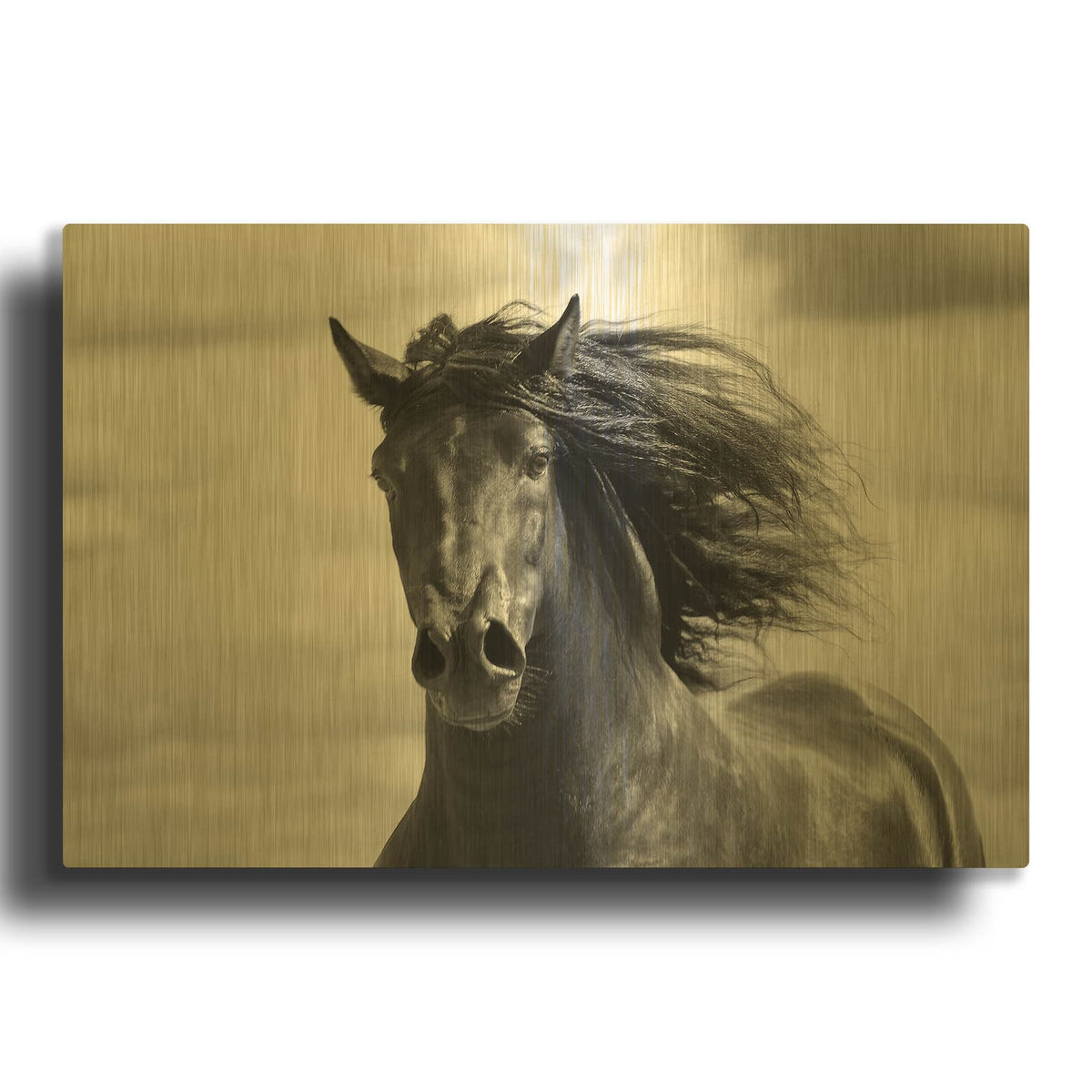 'Breath of Life' By Tony Stromberg Gold Metal Wall Art