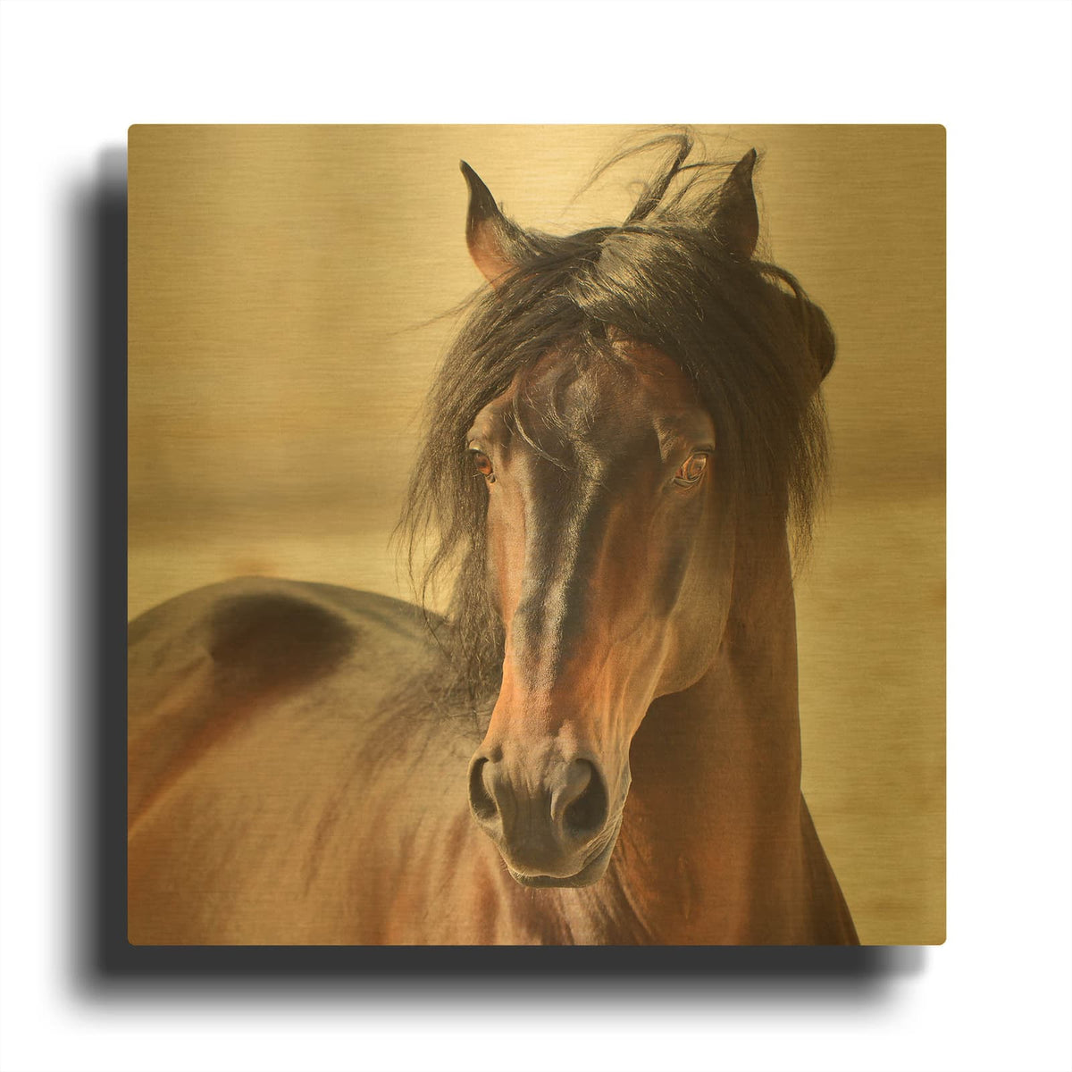 'Casanova' By Tony Stromberg Gold Metal Wall Art
