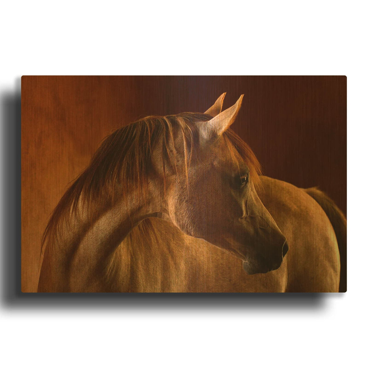 'Clay' By Tony Stromberg Gold Metal Wall Art