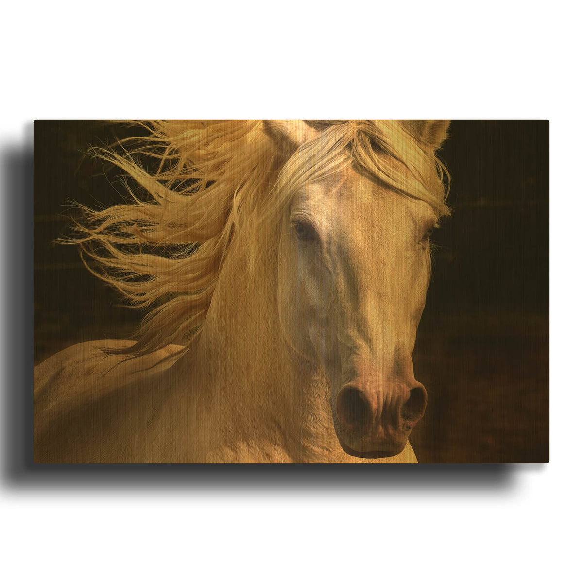 'Kieto II' By Tony Stromberg Gold Metal Wall Art