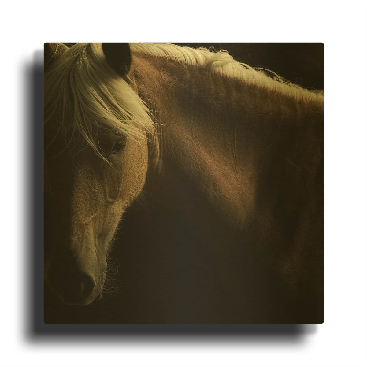 'Spirit Horse' By Tony Stromberg Gold Metal Wall Art