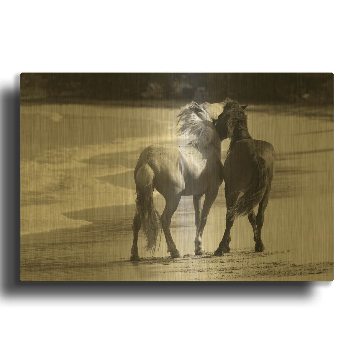 'Young Mustangs on Beach' By Traer Scott Gold Metal Wall Art