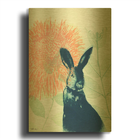 'Pink Waratah and Blue Rabbit' By Trudy Rice Gold Metal Wall Art