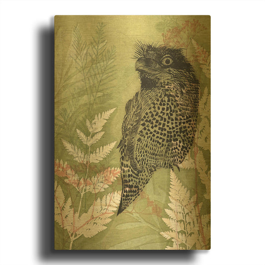 'Tawny Frog Mouth' By Trudy Rice Gold Metal Wall Art