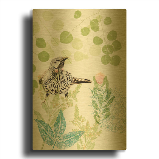 'Wattlebird and Pincushion Protea' By Trudy Rice Gold Metal Wall Art