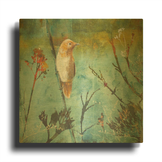 'Australian Reed Warbler' By Trudy Rice Gold Metal Wall Art