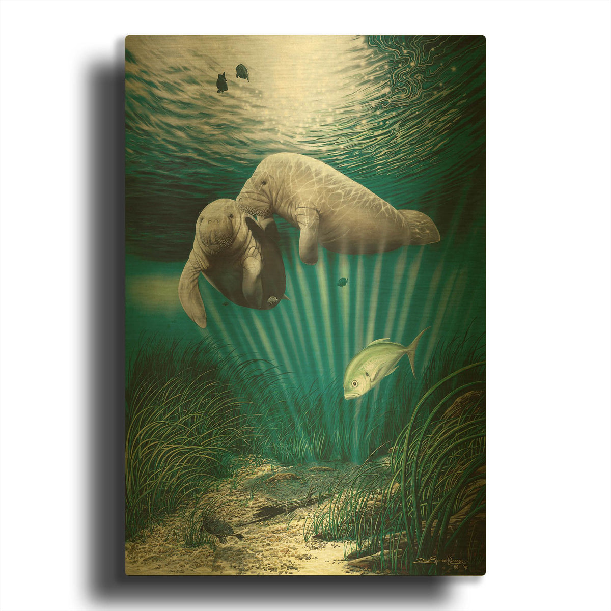 'Lazy Day Romance' By Dann Spider Warren Gold Metal Wall Art