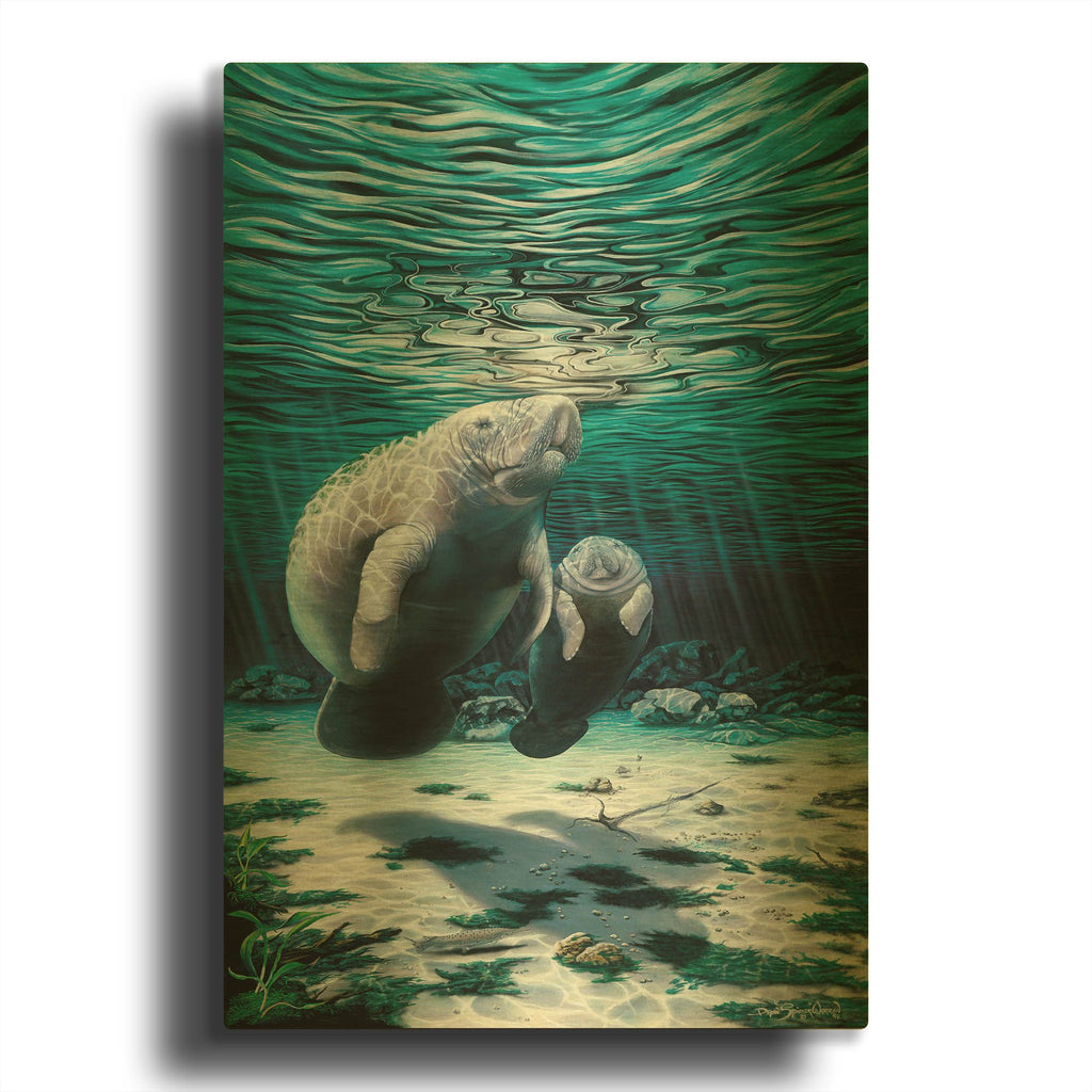 'Mermaids Of Crystal River' By Dann Spider Warren Gold Metal Wall Art