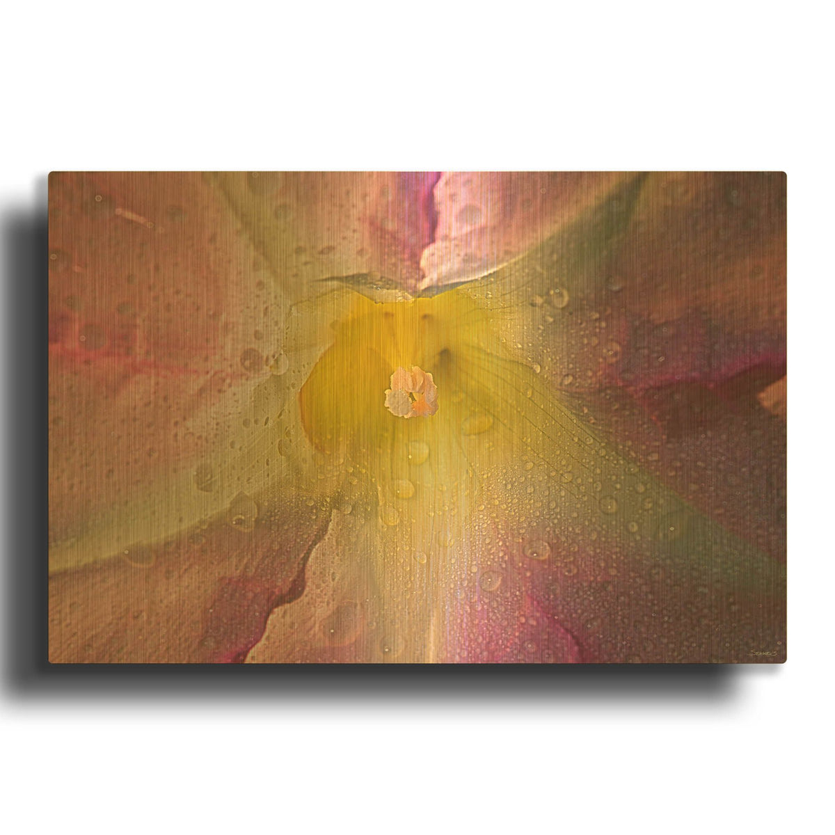 'Pink Floral' By Gordon Semmens Gold Metal Wall Art