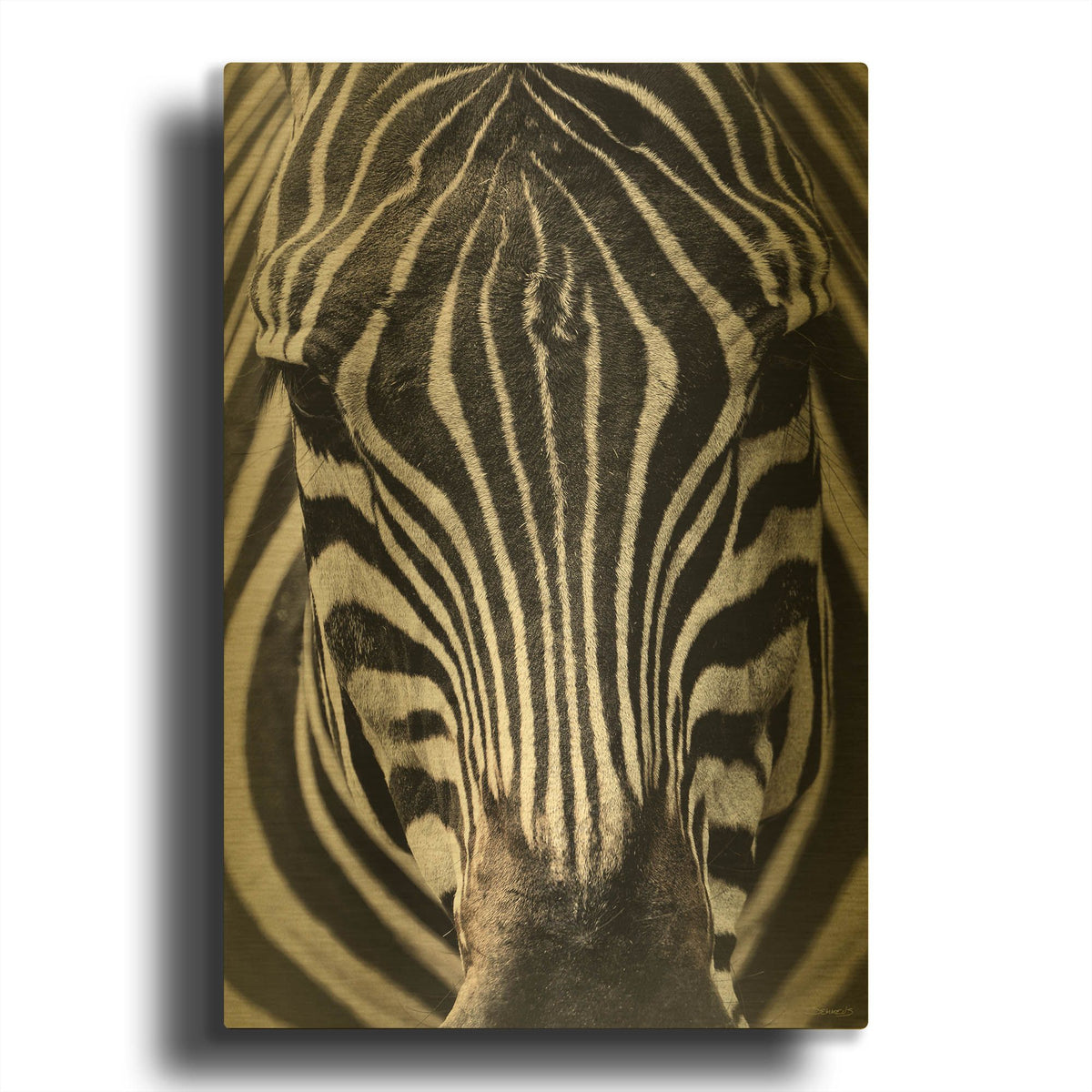 'Zebra Stripes' By Gordon Semmens Gold Metal Wall Art