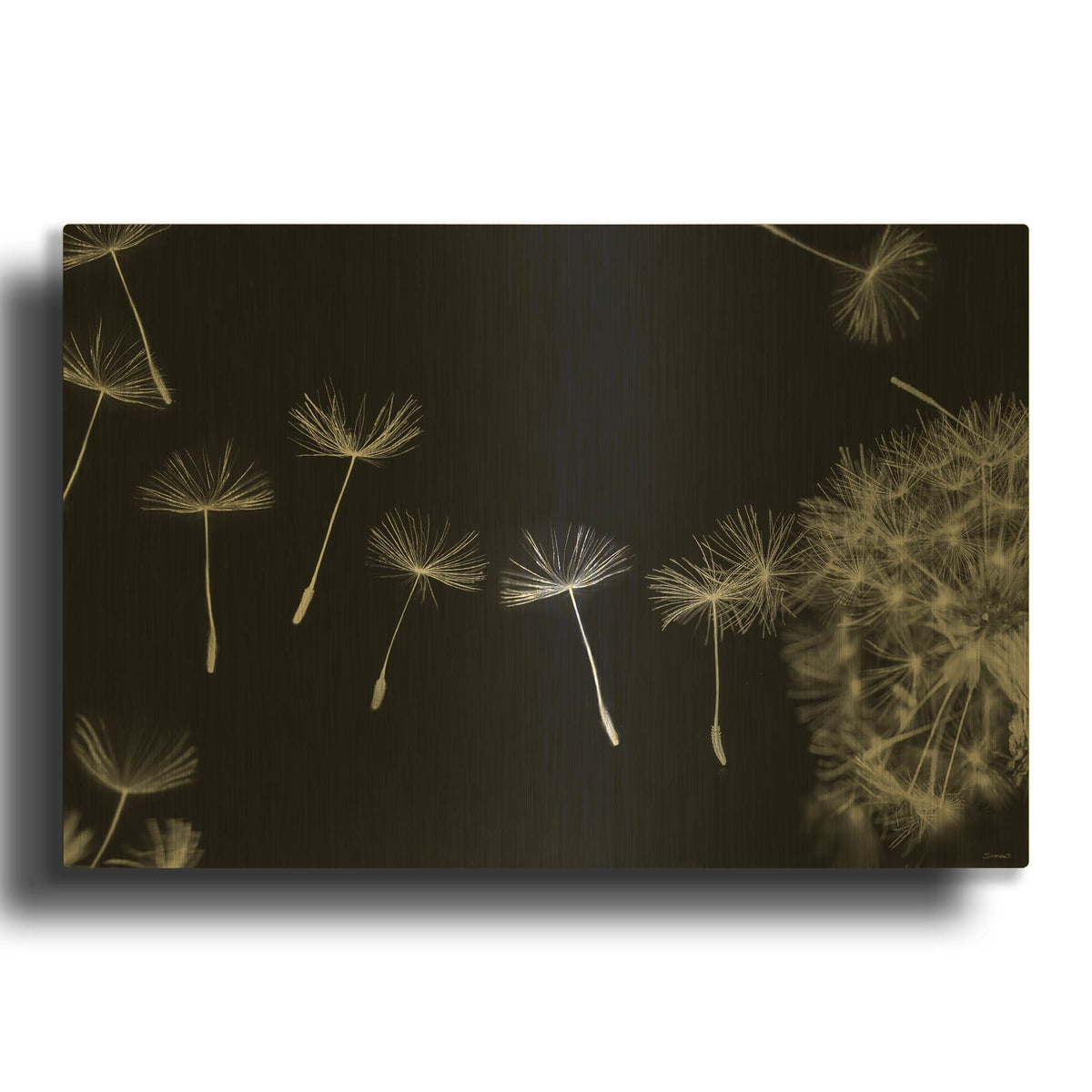 'Dandy Macro 18' By Gordon Semmens Gold Metal Wall Art