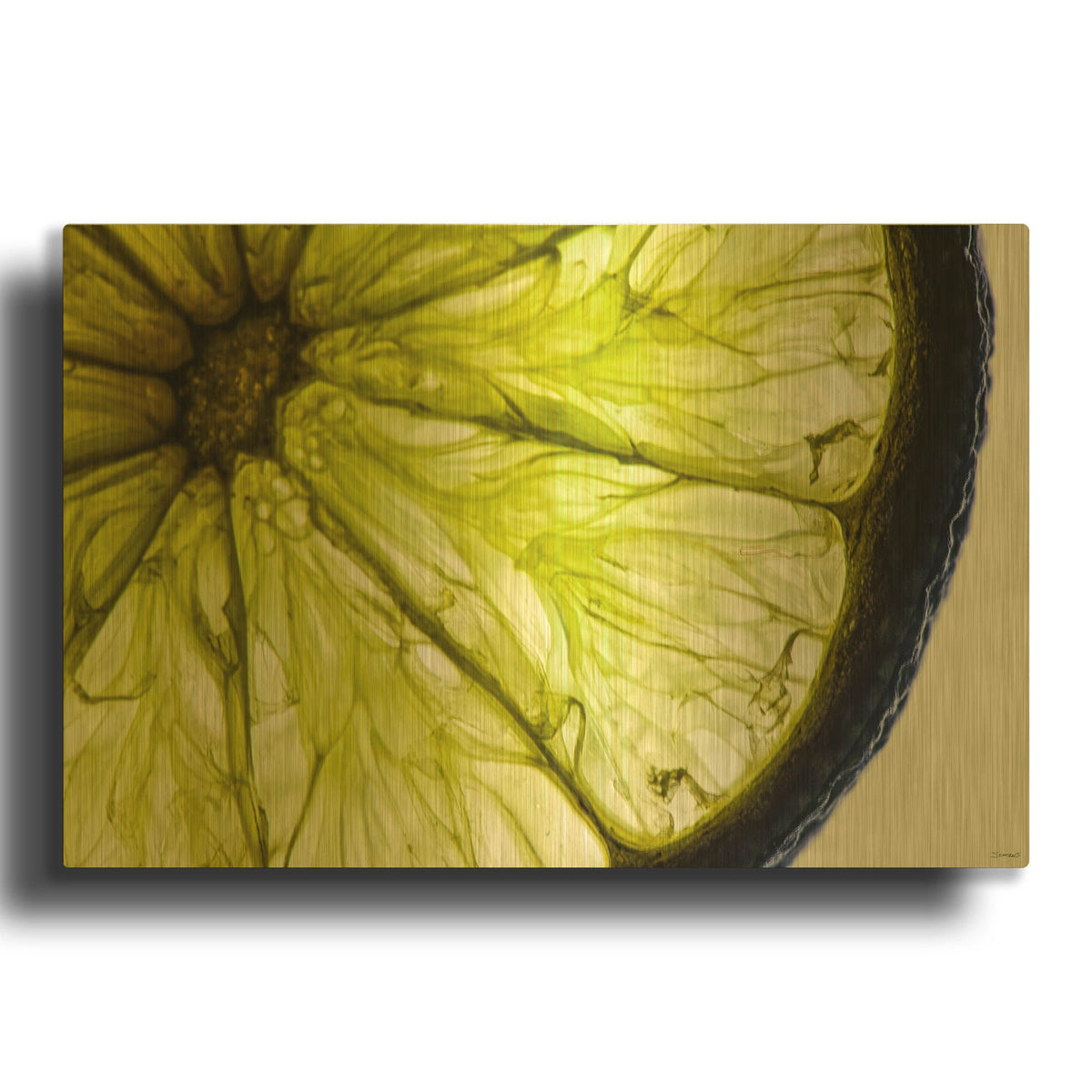 'Fruit Macros 04' By Gordon Semmens Gold Metal Wall Art