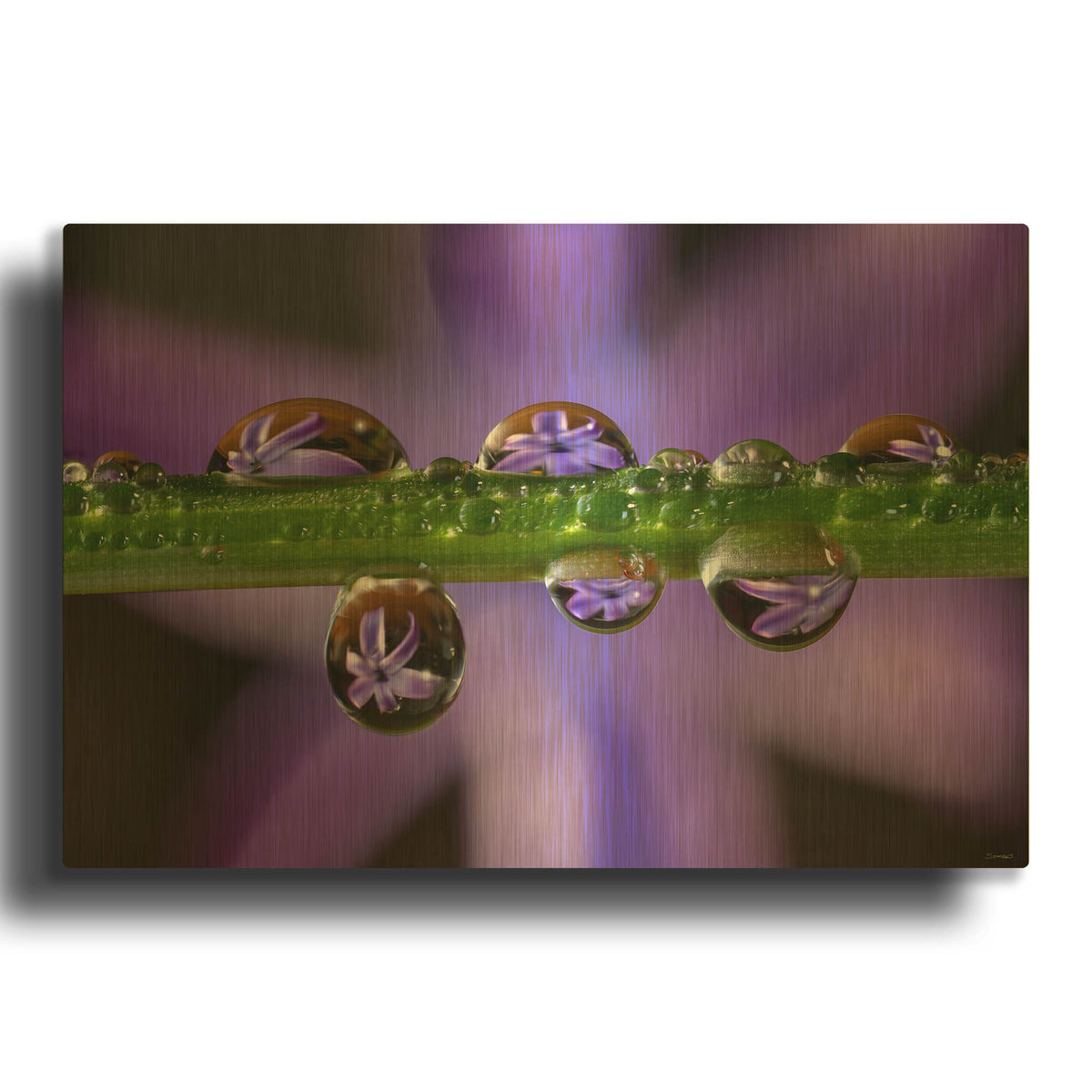 'Purple Hyacinths 01' By Gordon Semmens Gold Metal Wall Art