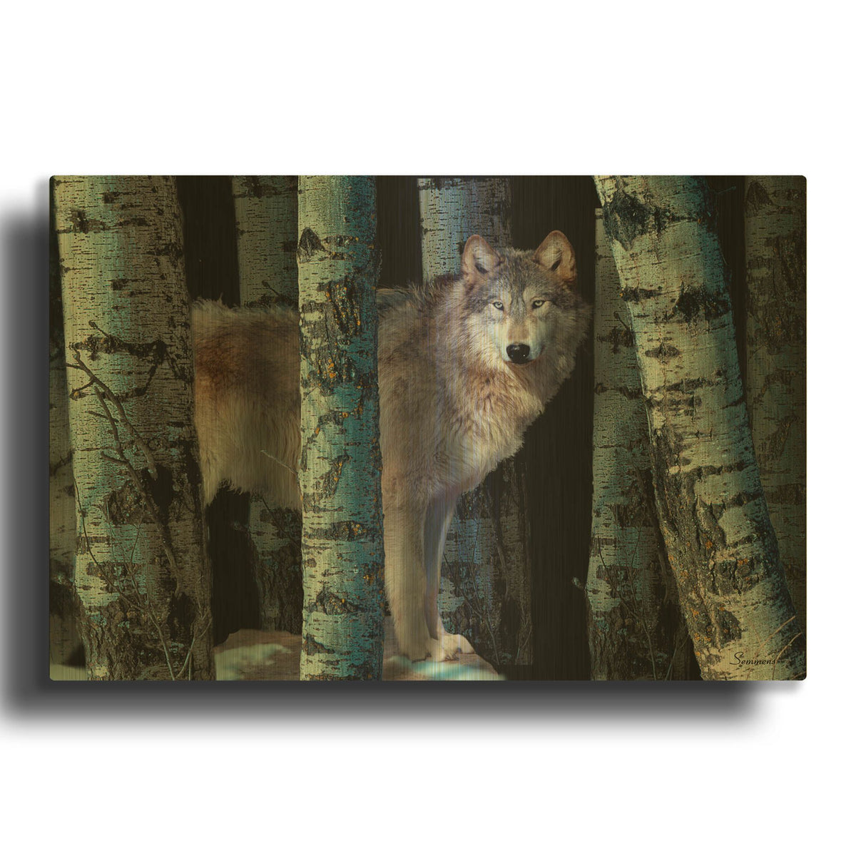 'Moon Shadows' By Gordon Semmens Gold Metal Wall Art