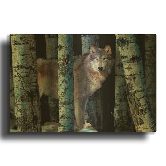 'Moon Shadows' By Gordon Semmens Gold Metal Wall Art
