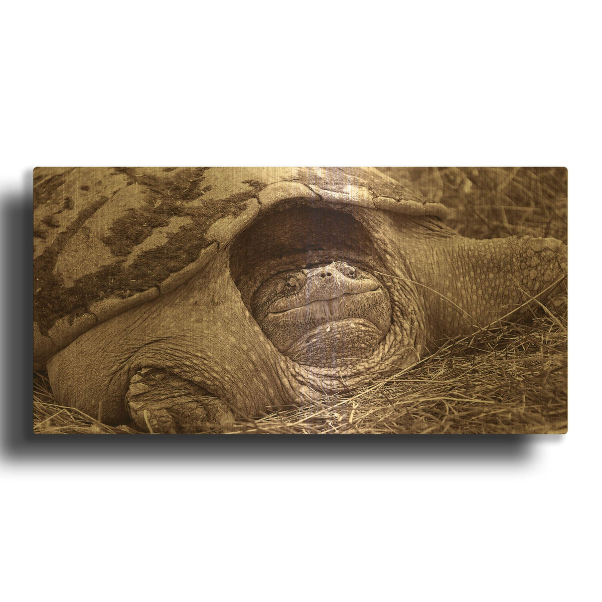 'Buffalo River 11' By Gordon Semmens Gold Metal Wall Art