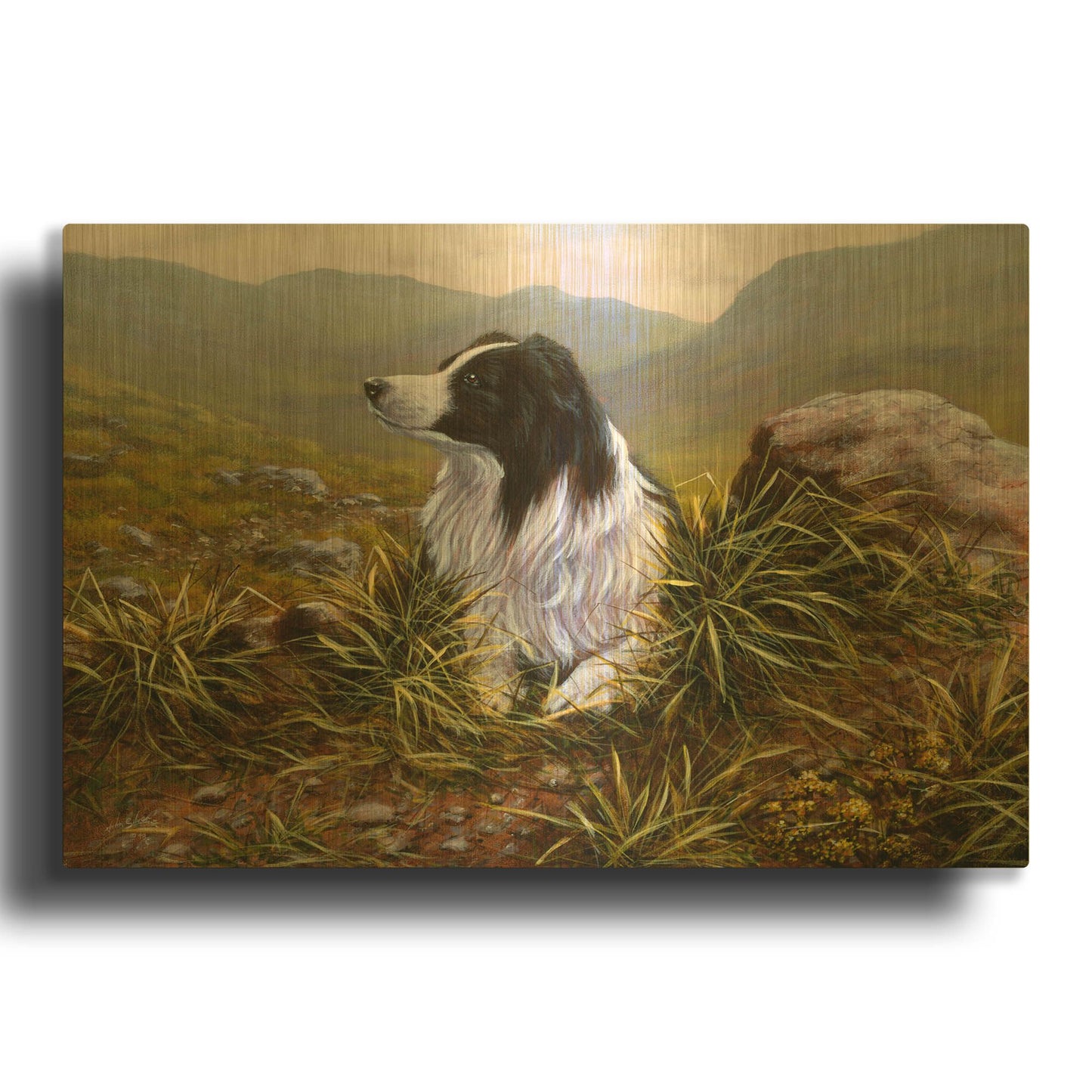 'Thoughtful Border Collie' By John Silver Gold Metal Wall Art