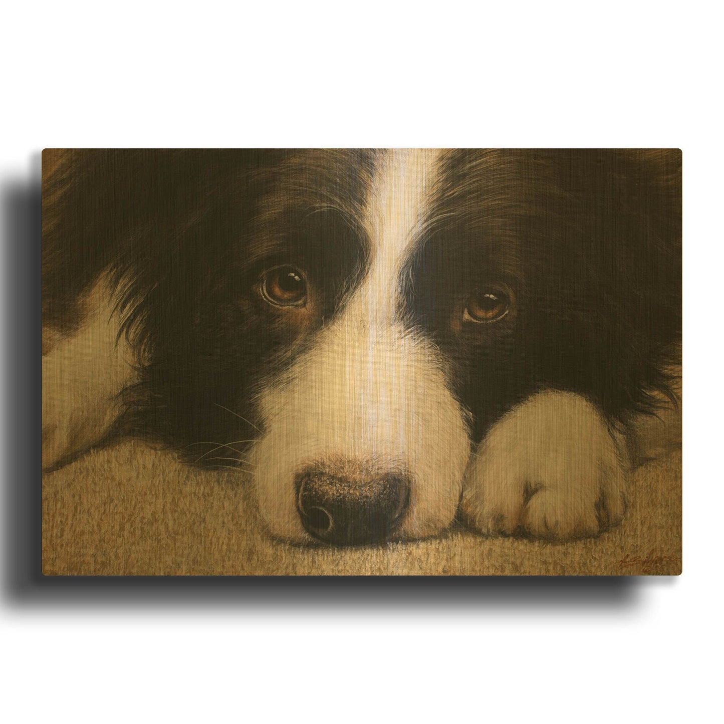 'Border Collie Love' By John Silver Gold Metal Wall Art
