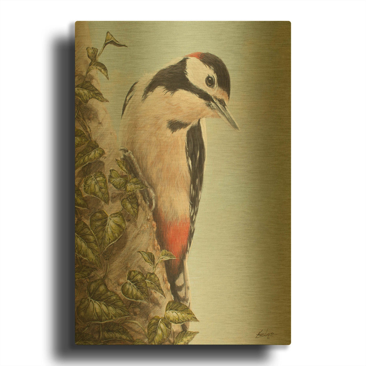 'Woodpecker And Ivy' By John Silver Gold Metal Wall Art