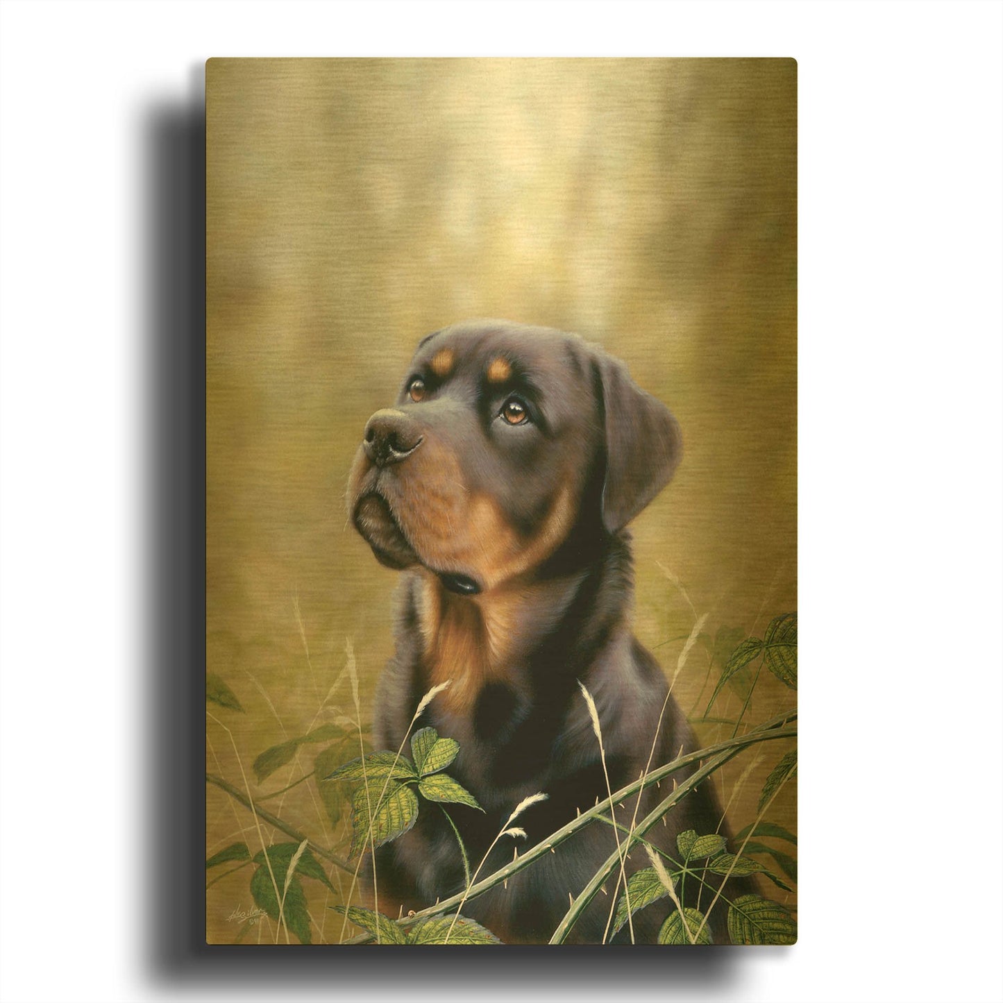 'Rottweiler Spirit Of Loyalty' By John Silver Gold Metal Wall Art