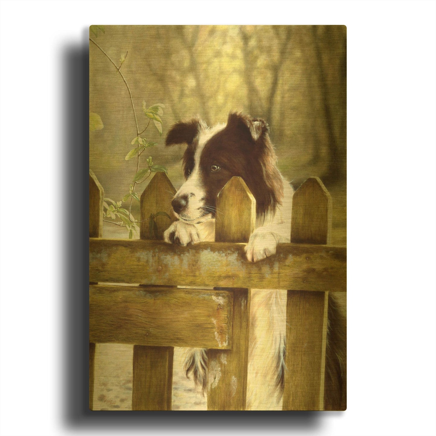 'Border Collie Watching Cows' By John Silver Gold Metal Wall Art