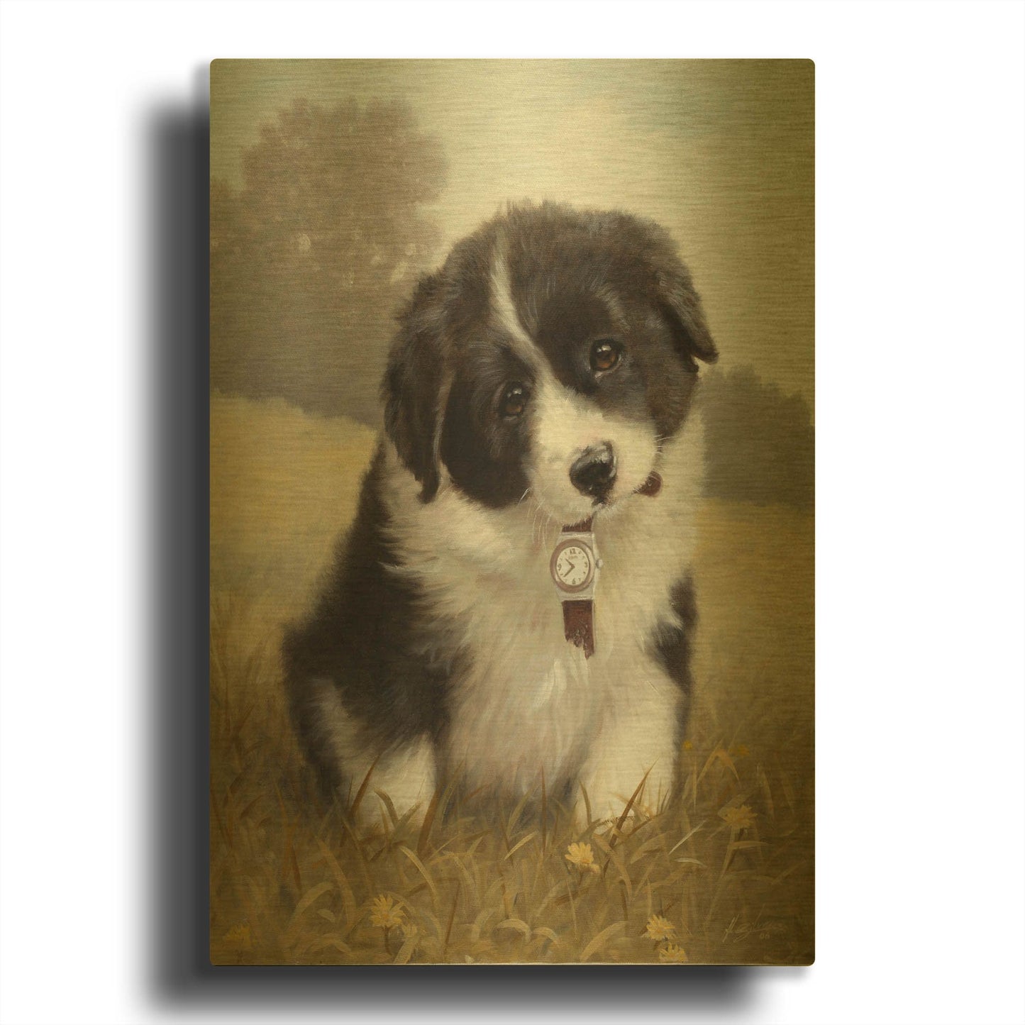 'Border Collie Puppy' By John Silver Gold Metal Wall Art