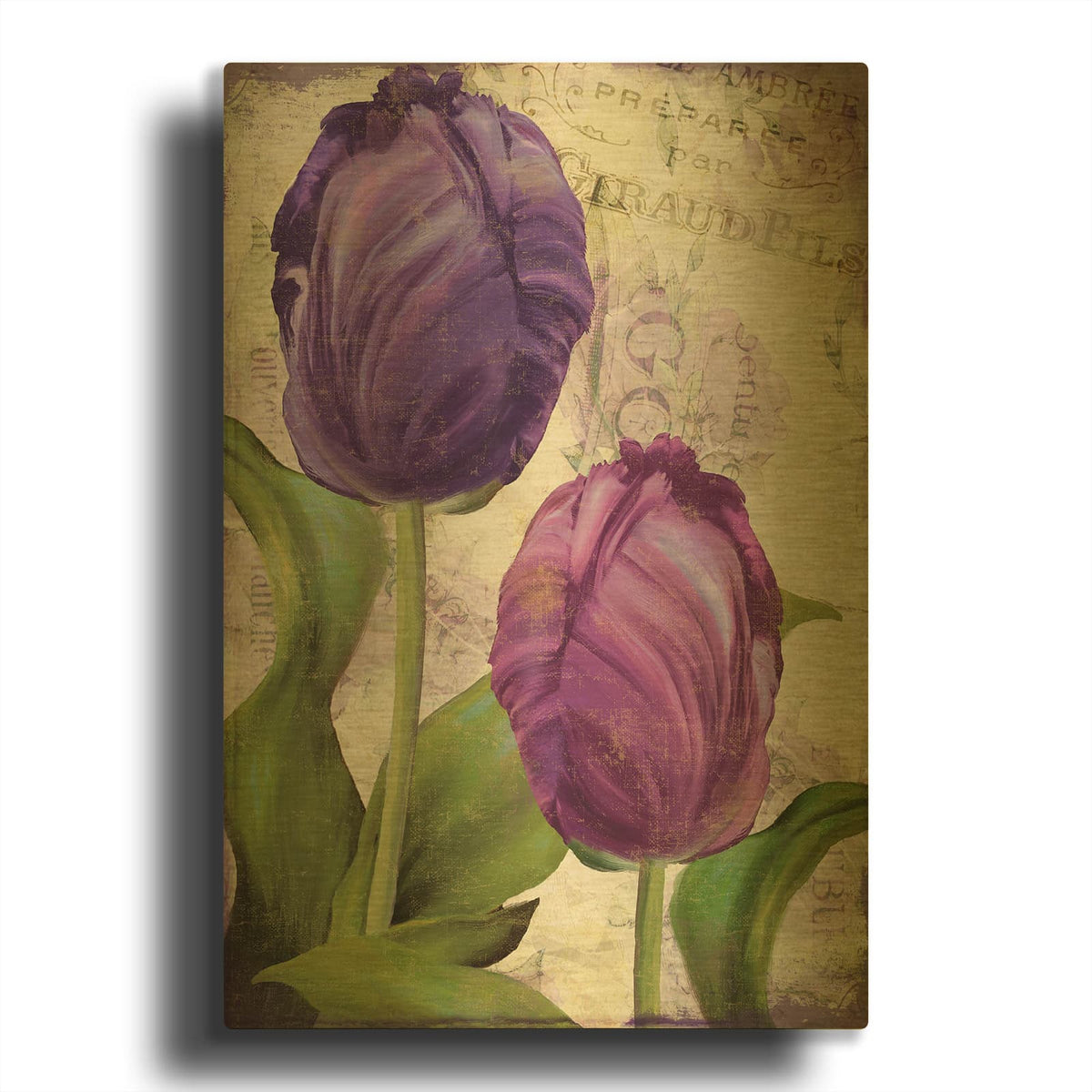 'Parrot Tulips I' By Sasha Gold Metal Wall Art