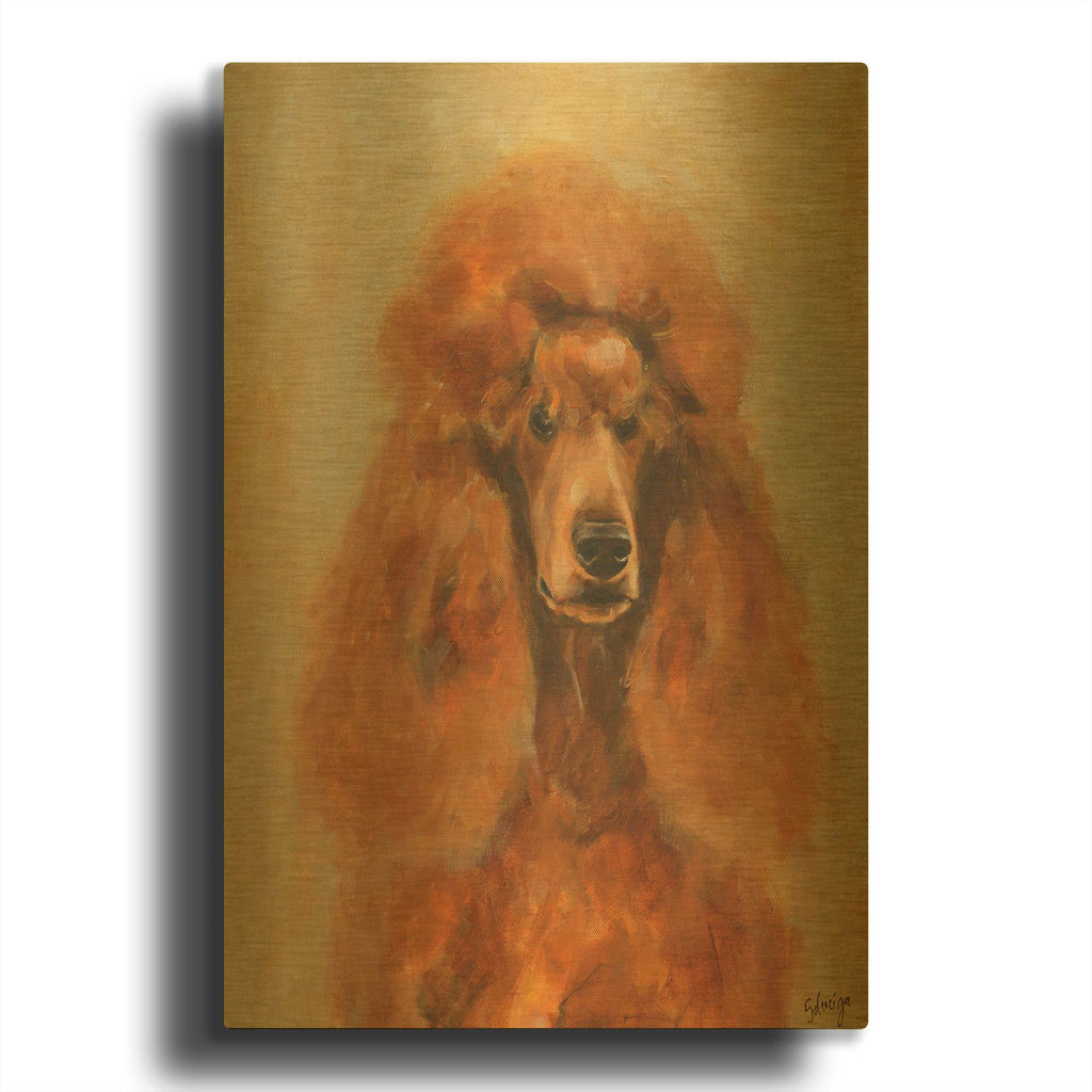 'Apricot Poodle' By Solveiga Gold Metal Wall Art