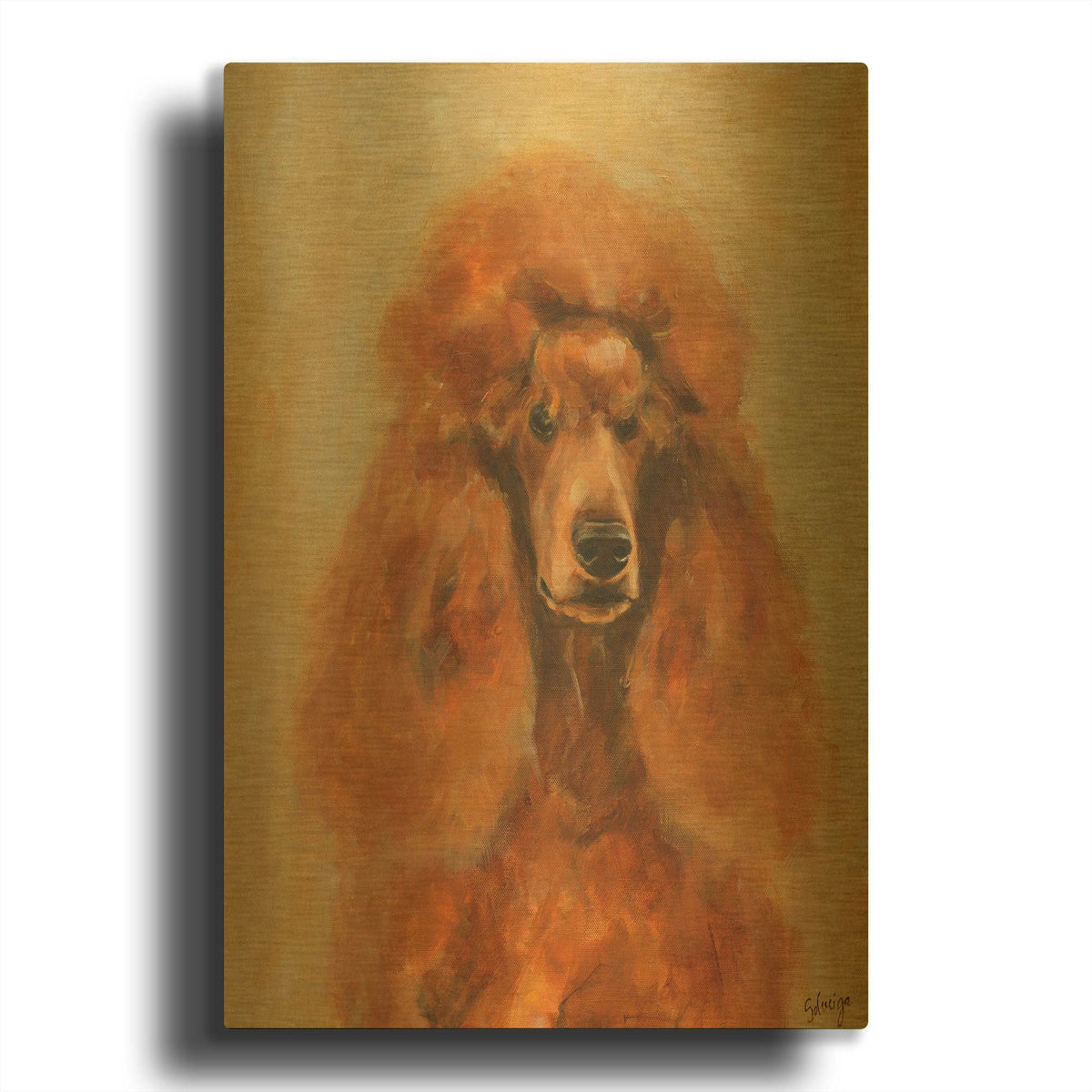 'Apricot Poodle' By Solveiga Gold Metal Wall Art