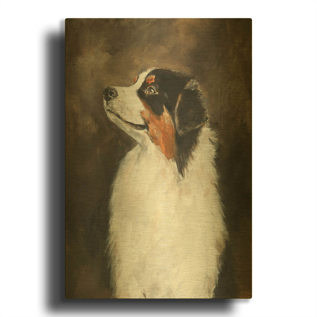 'Australian Shepherd' By Solveiga Gold Metal Wall Art