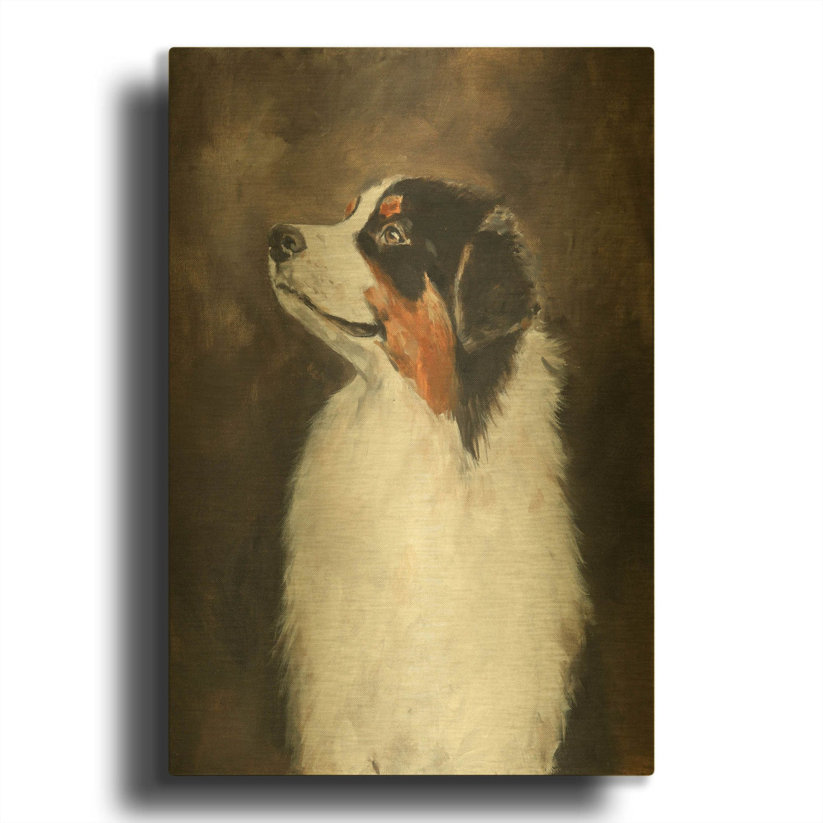 'Australian Shepherd' By Solveiga Gold Metal Wall Art